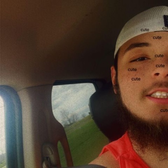 Meet your Posher, Brayton - Picture 1 of 1